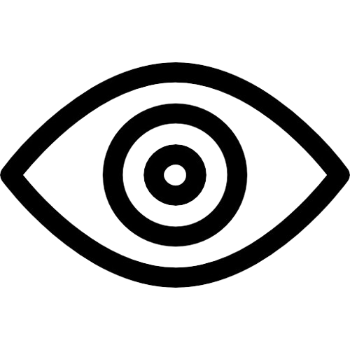 Vision Icon